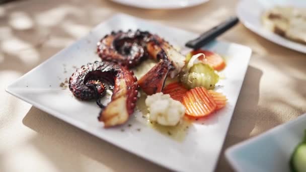 Grilled Octopus Tentacles Seasoned Wine Sauce — Stock Video