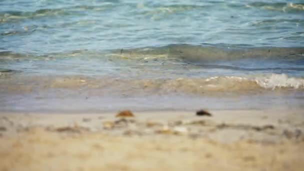 Spiaggia Sabbia Contaminata Rifiuti Umani — Video Stock