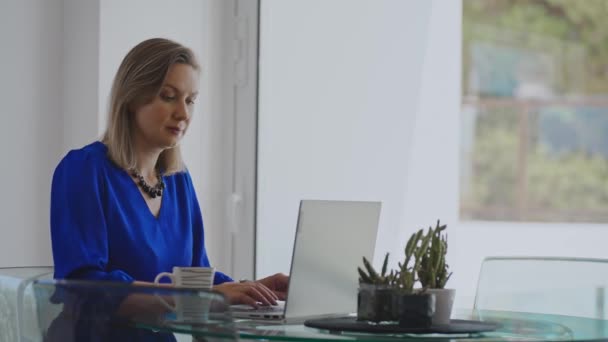 拥有手提电脑的女企业家在办公室工作 — 图库视频影像