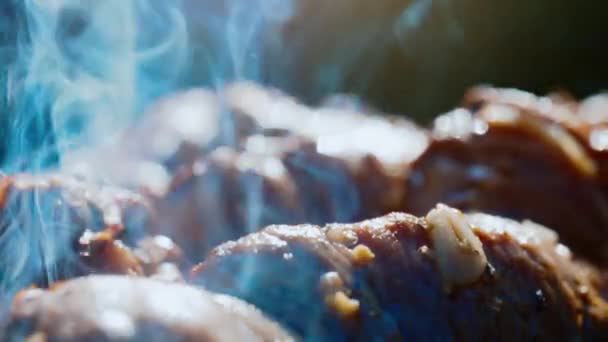 烤架上的猪肉沙石味 — 图库视频影像