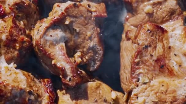 Shashlik Porc Savoureux Sur Gril — Video