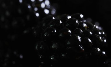 Bir sürü parlak olgun böğürtlen.