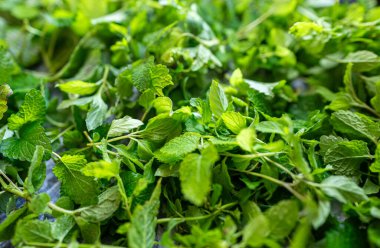 Naneler kışın çay yapmak için kurutulur..