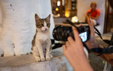 Kız sokakta bir kedi yavrusunun fotoğrafını çekiyor..