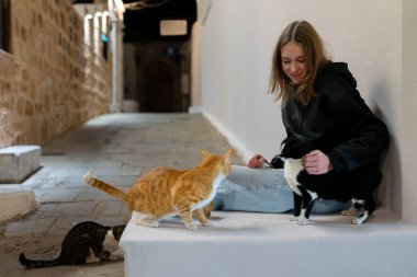 Kız sokakta evsiz kedileri besler..