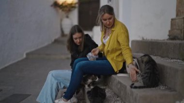 İki kız sokakta kedileri besler..