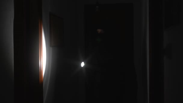 Feneri Taşıyan Maskeli Soyguncu Evini Kontrol Ediyor — Stok video