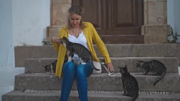 Mujer Alimenta Gatos Sin Hogar Calle — Vídeo de stock