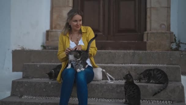 Kvinnan Matar Hemlösa Katter Gatan — Stockvideo
