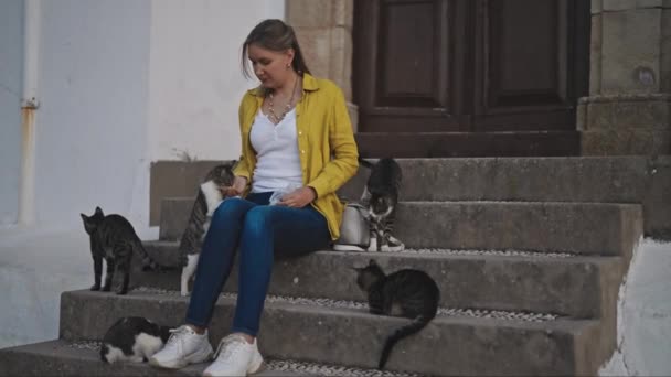 Hajléktalan Macskákat Etet Utcán — Stock videók