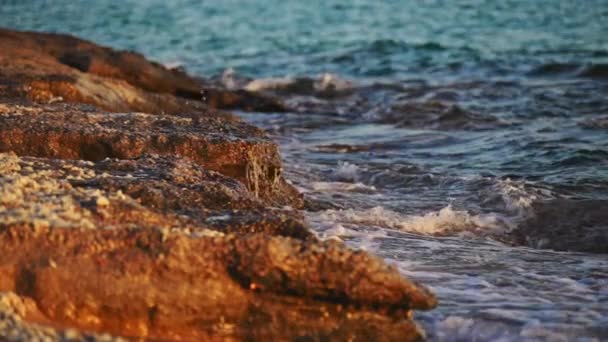 Ondas Mar Colidem Uma Pedra Videoclipe