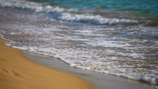 Тропические Морские Волны Пляже Стоковое Видео