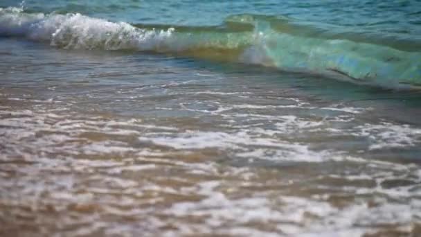 ビーチの熱帯の海の波 動画クリップ