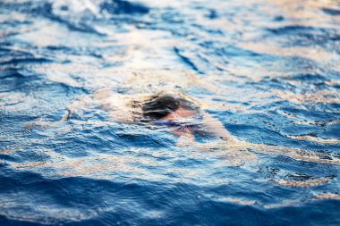 Bir kız açık havuza dalıyor..