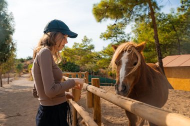 Girl feeds a horse on a farm. clipart
