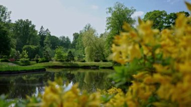 Göleti olan Japon bahçesi..