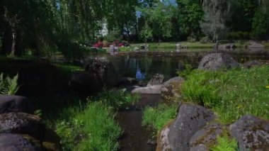 Göleti olan Japon bahçesi..