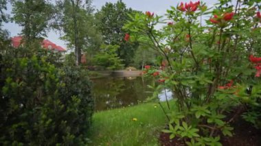 Göleti olan Japon bahçesi..