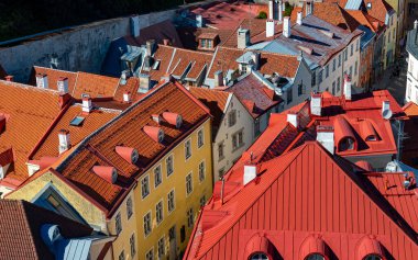 Evler eski Tallinn içinde kırmızı ve turuncu çatı.