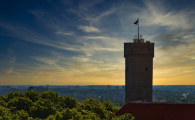 Pikk Hermann. Tallinn 'deki Toompea Kalesi' nin Kulesi.