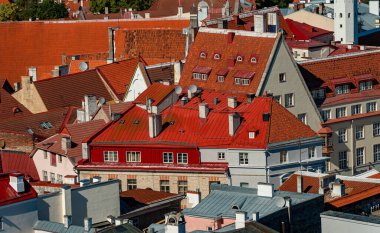 Evler eski Tallinn içinde kırmızı ve turuncu çatı.