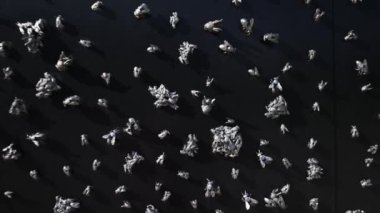 Tallinn, Estonya - 26.06.2024: Komünizm Mağdurları Anıtı Üzerine Uçuyor.