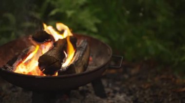 Ormandaki bir barbeküde gece bir ateş yanıyor..