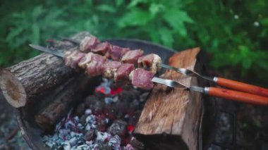 Shashlik ormanda şişler üzerinde.