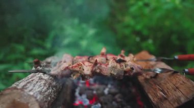 Shashlik ormanda şişler üzerinde.