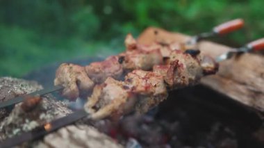Shashlik ormanda şişler üzerinde.