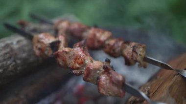 Shashlik ormanda şişler üzerinde.