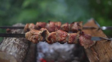Shashlik ormanda şişler üzerinde.