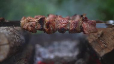 Shashlik ormanda şişler üzerinde.