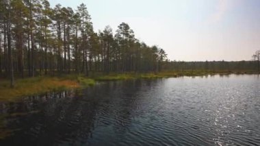 Viru Raba bataklık Gölü Estonya.