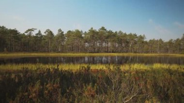 Viru Raba bataklık Gölü Estonya.