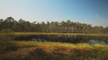 Viru Raba bataklık Gölü Estonya.