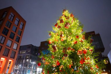 Tallinn 'deki Rotermann bölgesinde güzel bir Noel ağacı.
