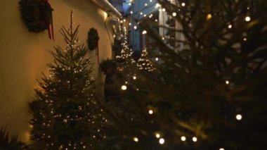 Şehirde süslü Noel ağaçları var..