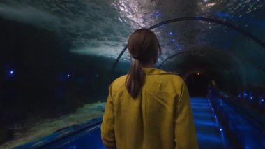 Bir kadın su altı tünelinde deniz dünyasını keşfediyor. Arkadan görüntüle.