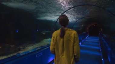 Bir kadın su altı tünelinde deniz dünyasını keşfediyor. Arkadan görüntüle.
