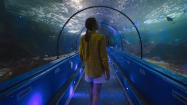 Bir kadın su altı tünelinde deniz dünyasını keşfediyor. Arkadan görüntüle.