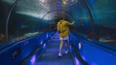 Bir kadın su altı tünelinde deniz dünyasını keşfediyor. Arkadan görüntüle.