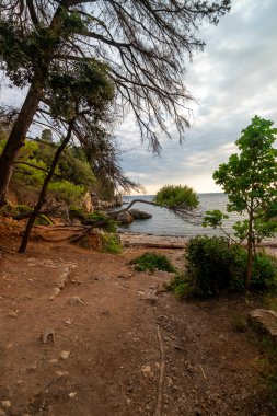 Wild beach in the Bay of Antibes Billionaires. clipart