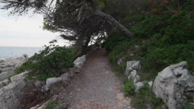 Fransa 'daki Cap d' Antibes 'de doğa yolu. Birinci kişi görünümü.
