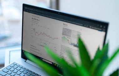 Tallinn, Estonya - 2025.03.08: Bitcoin döviz kuru bir Google sayfasında açıldı.