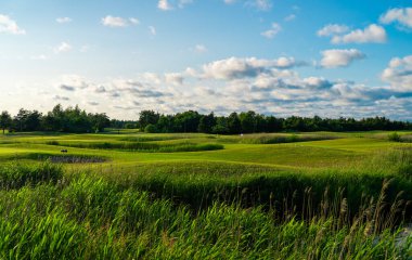 Mavi güneşli gökyüzünün altında yeşil golf sahası.