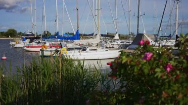 Kuressaare, Estonya 25.06.2025: Tekneli küçük liman. Editör kullanımı.