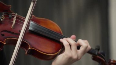 Sokakta keman çalan bir adam. Tanınmayan kişi.