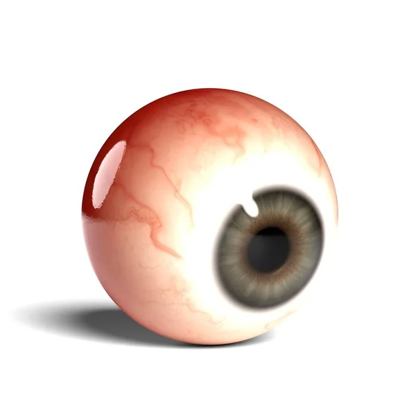 基于Wihte背景的真实感人眼球的侧面视图 3D渲染 — 图库照片