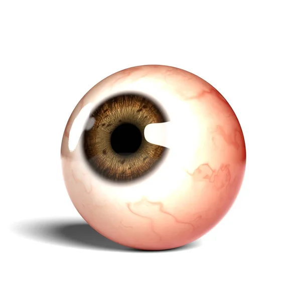 白地に隔離された現実的な人間の眼球の側面図 3Dレンダリング — ストック写真